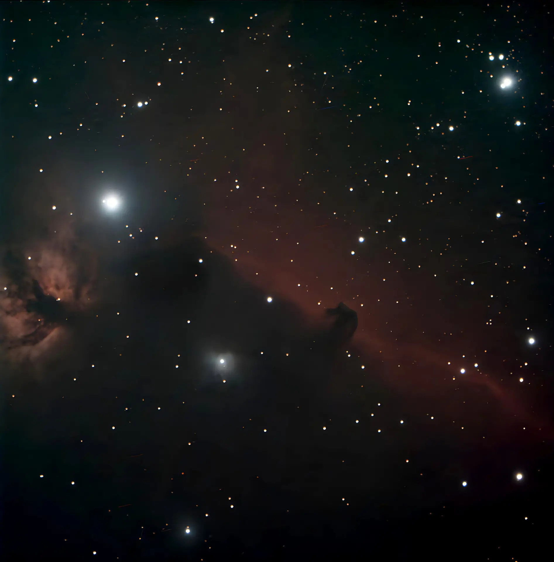 Horsehead and Flame Nebulae - 1