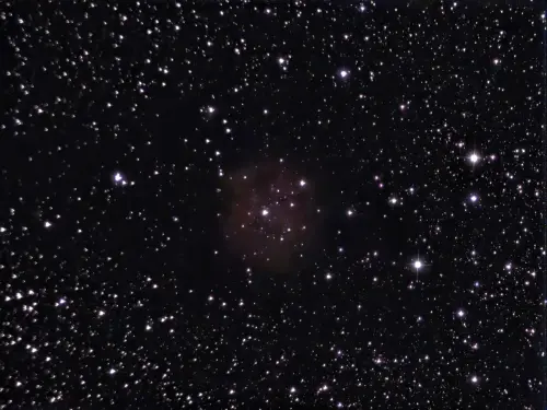 Coocoon Nebula